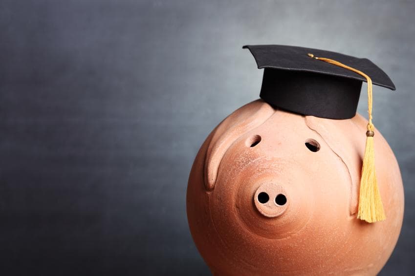 Piggy bank at university