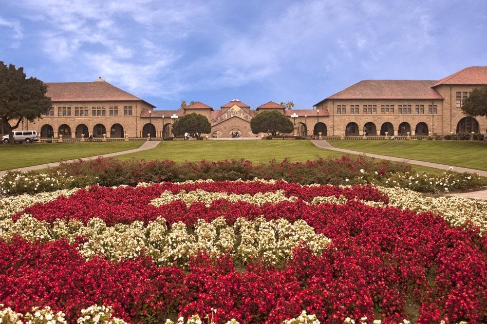 Stanford quadrangle with roses