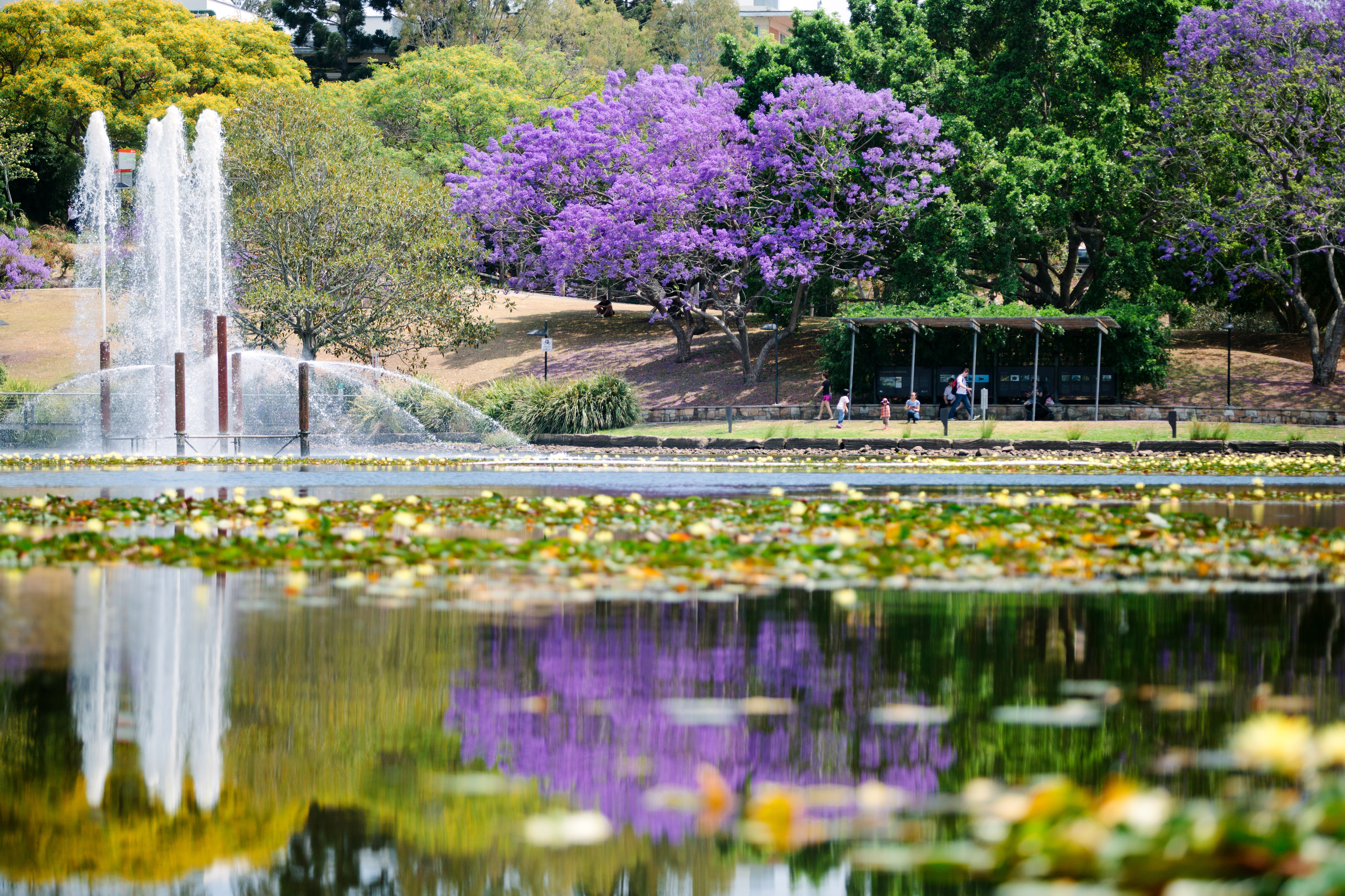 University of Queensland - most beautiful universities in Australia
