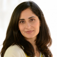 Pardis Mahdavi's avatar