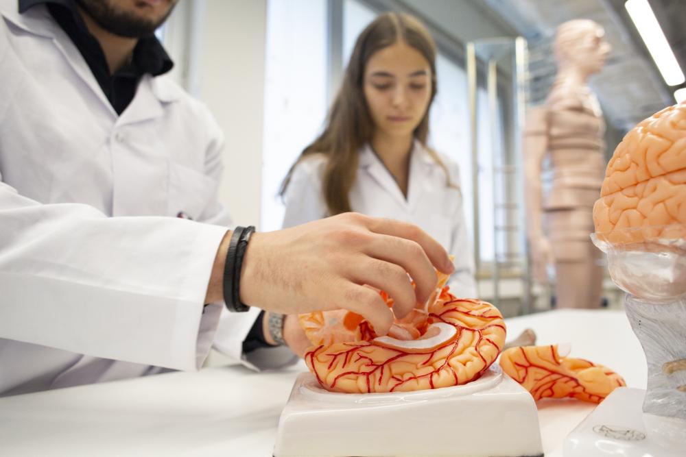 Medical School featured image
