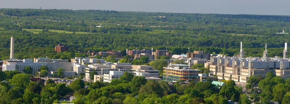 McMaster University image