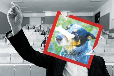 Lecturer with dog's head photo pasted over face