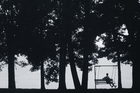Silhouette of man sitting on chair swing, among trees