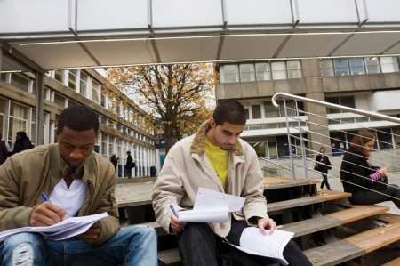 Students working on university steps